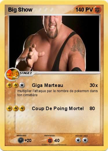 Pokemon Big Show