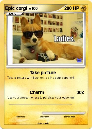 Pokemon Epic corgi