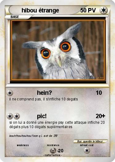 Pokemon hibou étrange