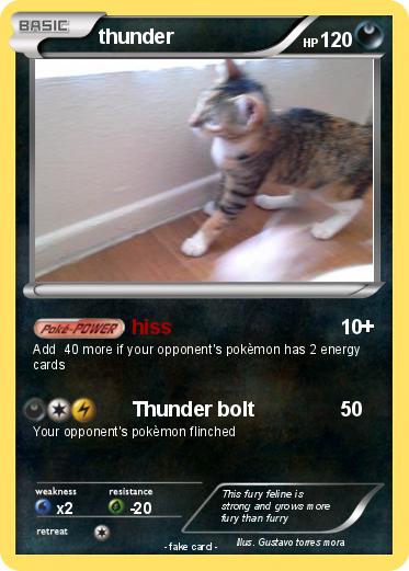 Pokemon thunder