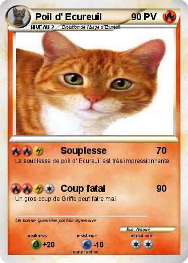 Pokemon Poil d' Ecureuil