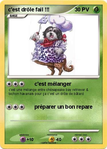 Pokemon c'est drôle fail !!!