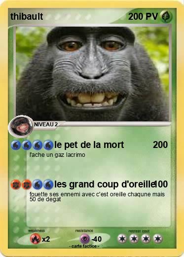 Pokemon thibault