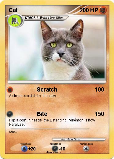 Pokemon Cat
