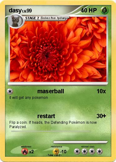 Pokemon dasy
