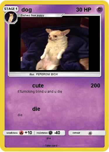 Pokemon dog