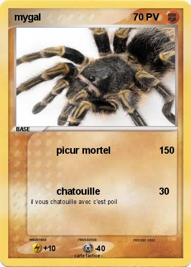 Pokemon mygal