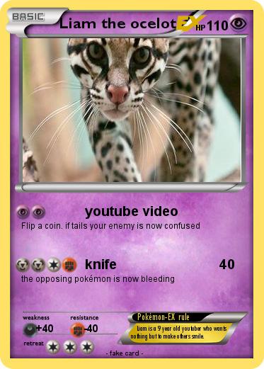 Pokemon Liam the ocelot