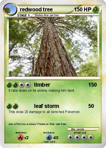 Pokemon redwood tree