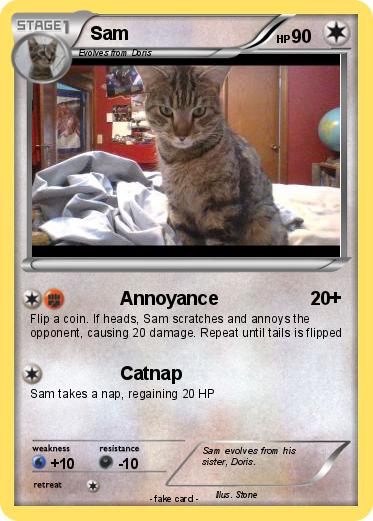 Pokemon Sam