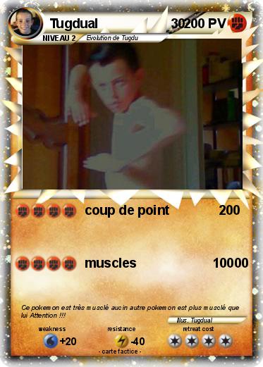 Pokemon Tugdual                    30