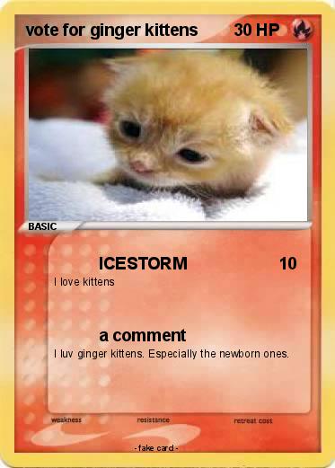 Pokemon vote for ginger kittens