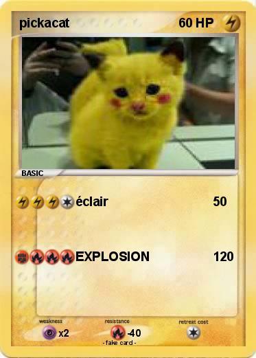 Pokemon pickacat