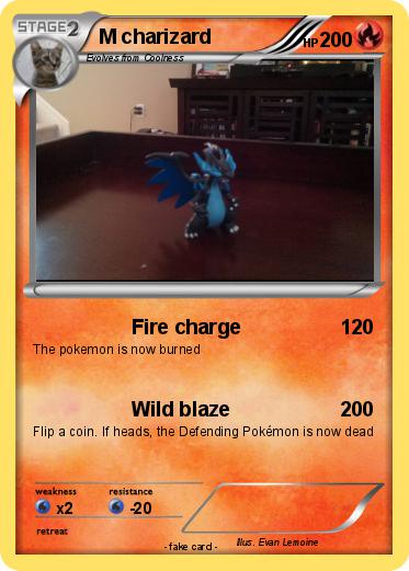 Pokemon M charizard
