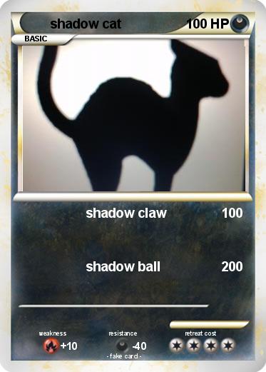 Pokemon shadow cat
