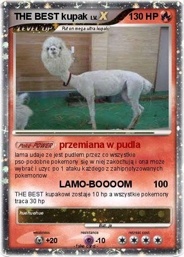 Pokemon THE BEST kupak