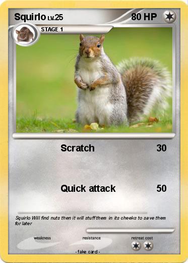 Pokemon Squirlo