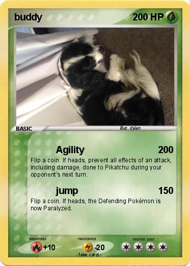 Pokemon buddy