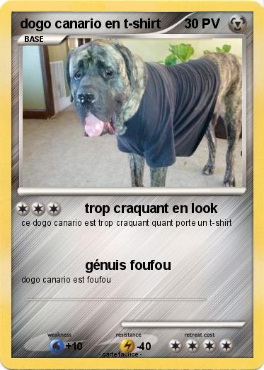 Pokemon dogo canario en t-shirt