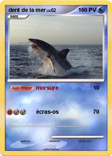 Pokemon dent de la mer