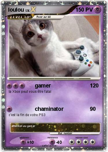 Pokemon loulou