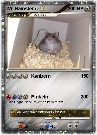 Pokemon Mr Hamster