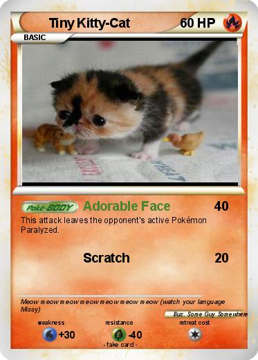Pokemon Tiny Kitty-Cat