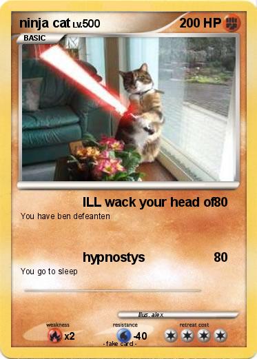 Pokemon ninja cat