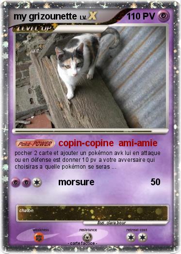 Pokemon my grizounette