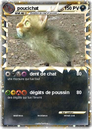 Pokemon poucichat