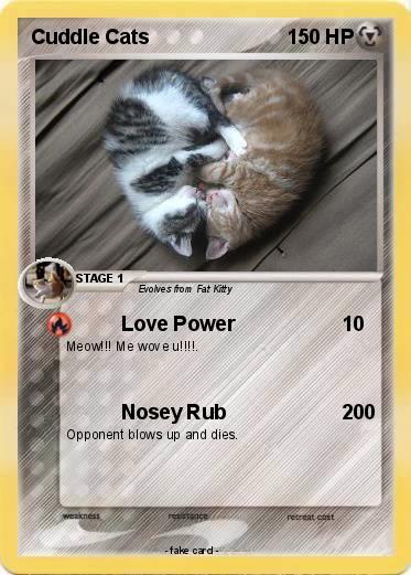 Pokemon Cuddle Cats