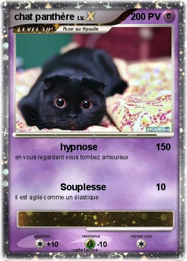 Pokemon chat panthère