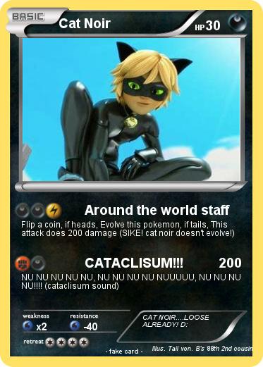 Pokemon Cat Noir