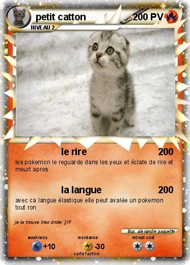 Pokemon petit catton