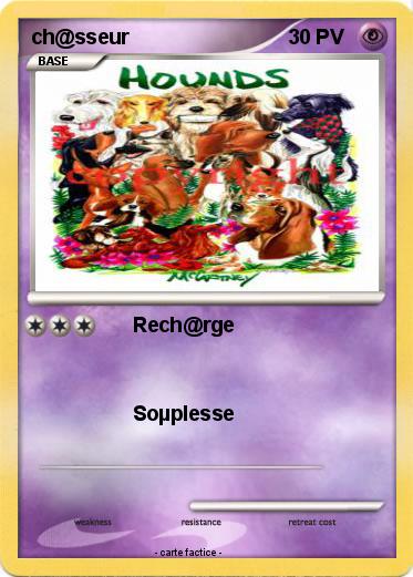 Pokemon ch@sseur
