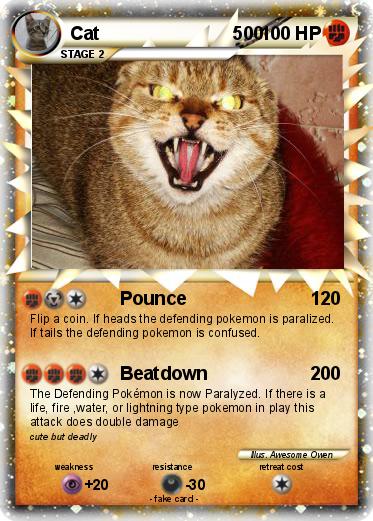 Pokemon Cat                          500