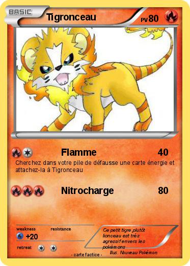 Pokemon Tigronceau