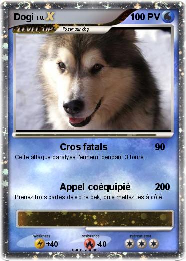 Pokemon Dogi