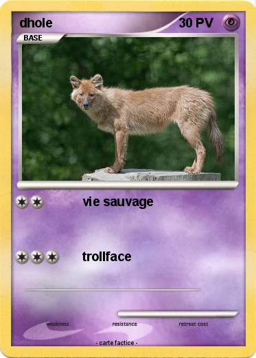 Pokemon dhole