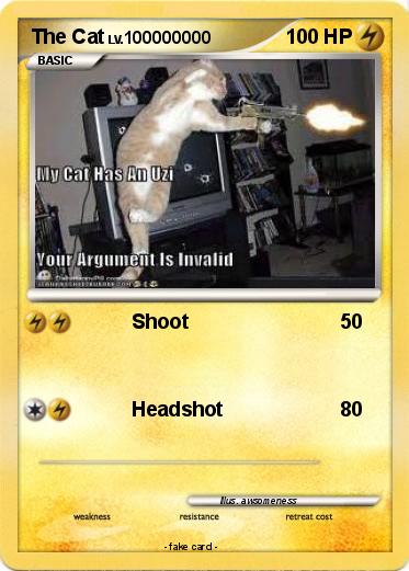 Pokemon The Cat