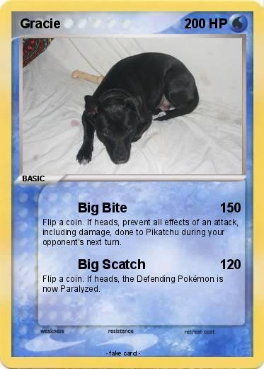 Pokemon Gracie