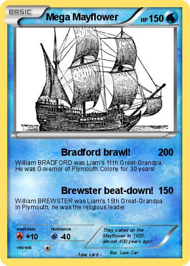 Pokemon Mega Mayflower