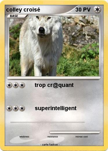 Pokemon colley croisé