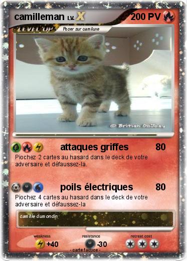 Pokemon camilleman