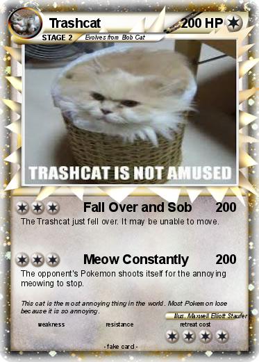 Pokemon Trashcat