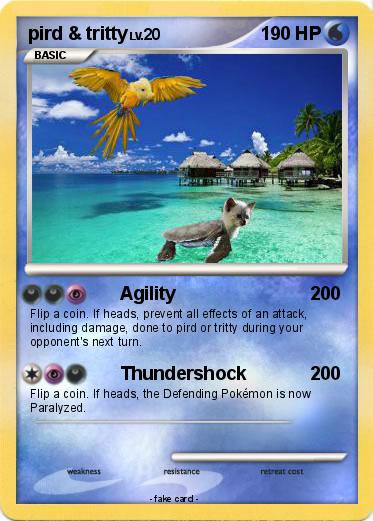 Pokemon pird & tritty