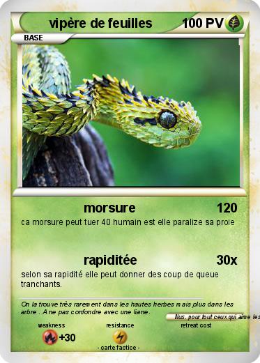 Pokemon vipère de feuilles