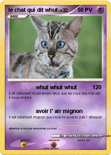 Pokemon le chat qui dit whut