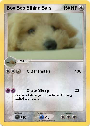 Pokemon Boo Boo Bihind Bars