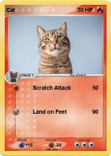 Pokemon Cat